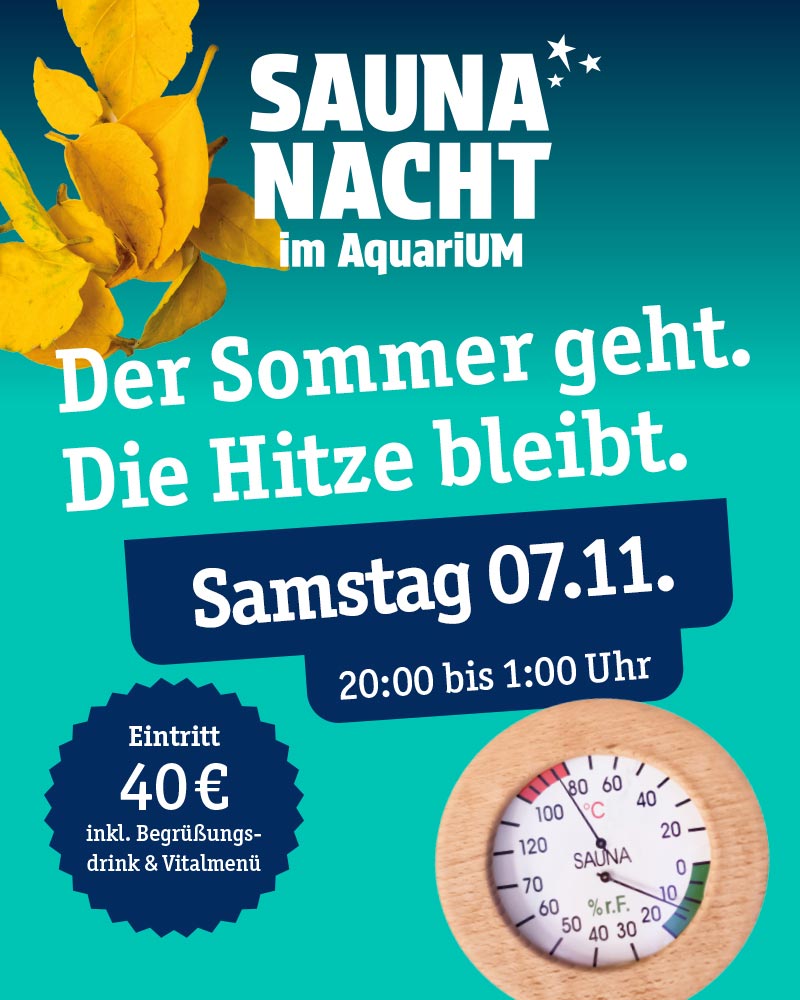 Entspannung pur: Saunanacht am 07. November 2026